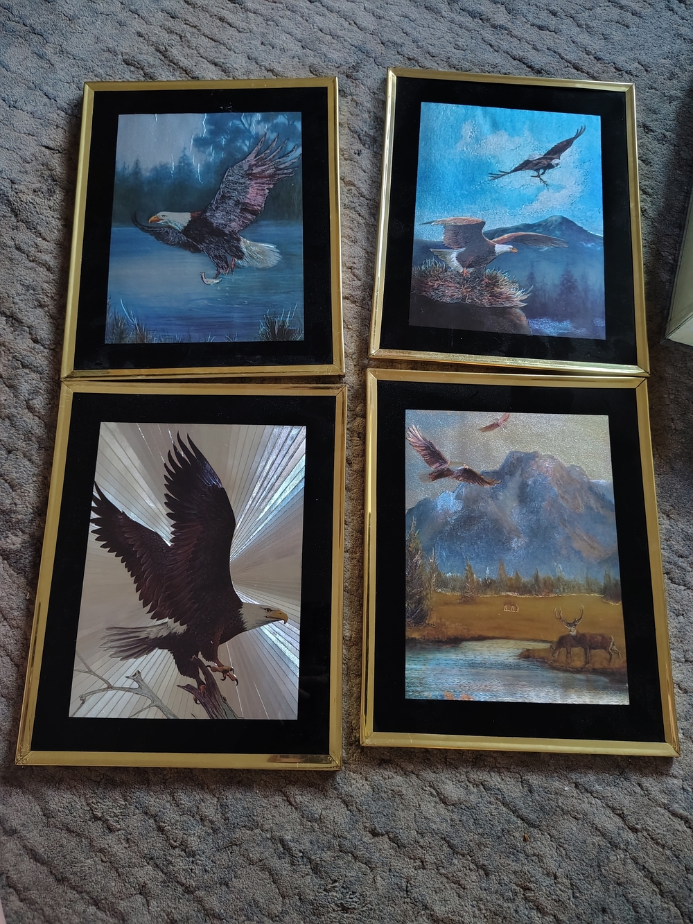 Vintage Foil Art Eagle Theme